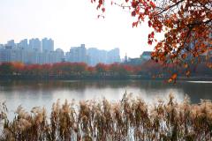 만석공원(가을)