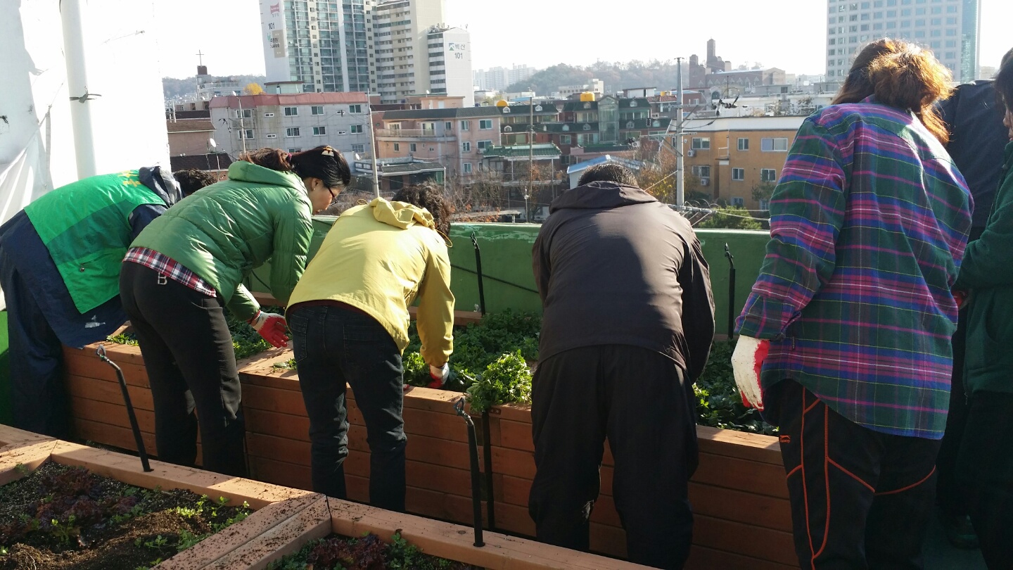 끌내음가득한영화마을도시양봉(땡벌과영화마을추진위원회2)