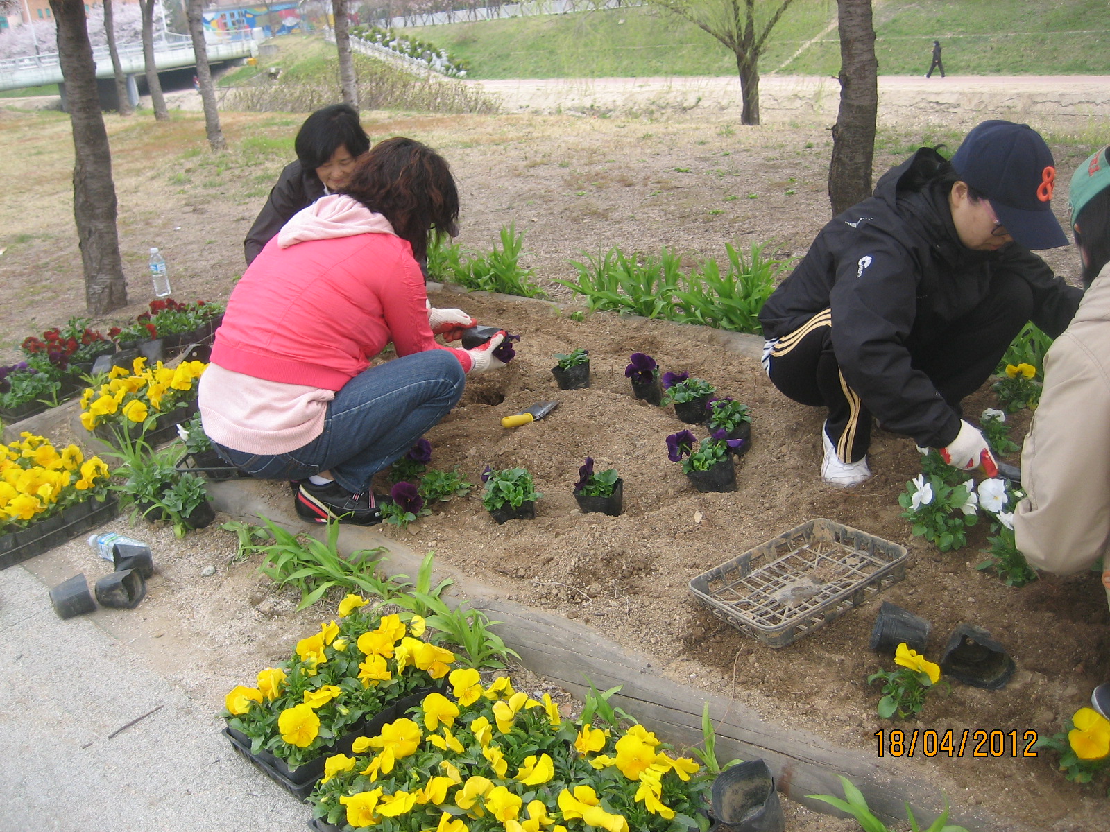 천천로변 꽃길조성