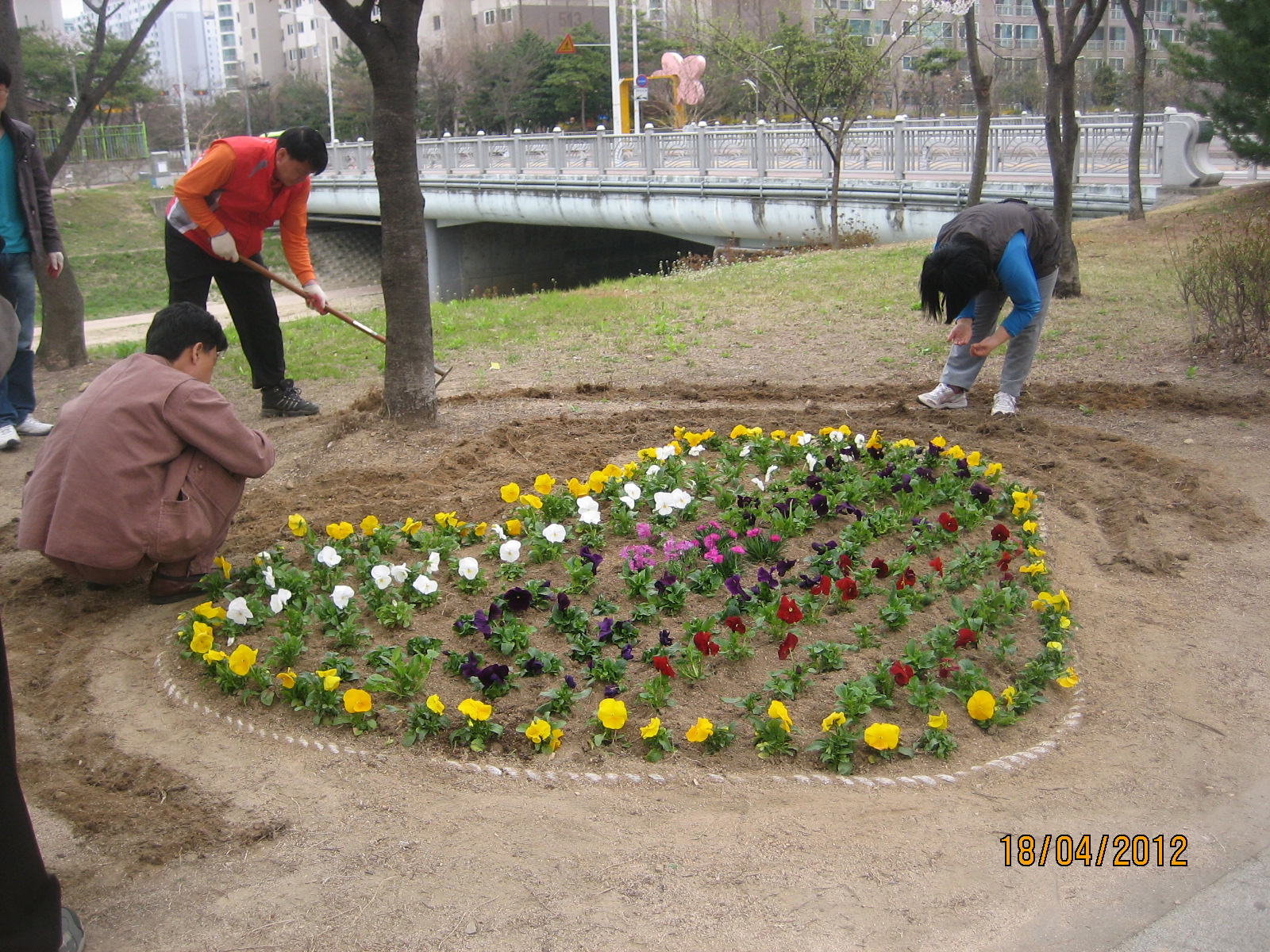 천천로변 꽃길조성