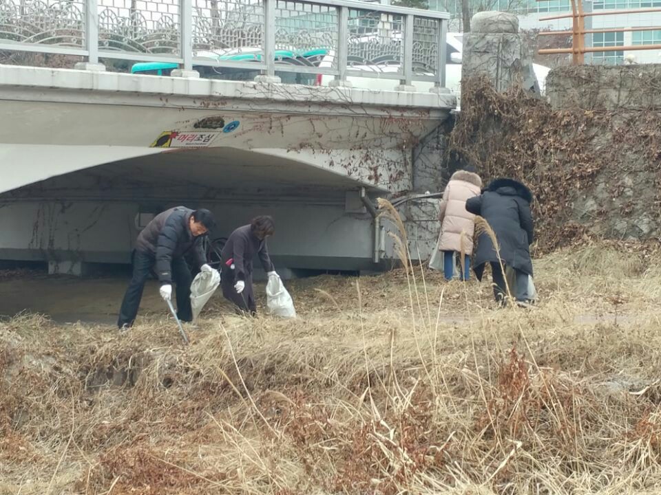 하천대청소 실시