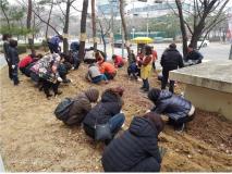 조원2동, 봄맞이 아름다운 튤립정원 조성위해 구근 식재