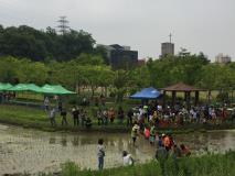 장안구 율천동, 밤밭골 청개구리 마을지킴이 손모심기 행사 열어