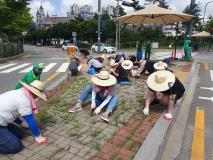 장안구 정자1동, 여름 휴가철 맞아 마을 곳곳 ‘반짝반짝’ 대청소