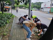 장안구 파장동, 깨끗한 마을 만들기 대청소