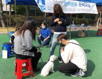 수원시 장안구, 반려동물 문화교실 개최