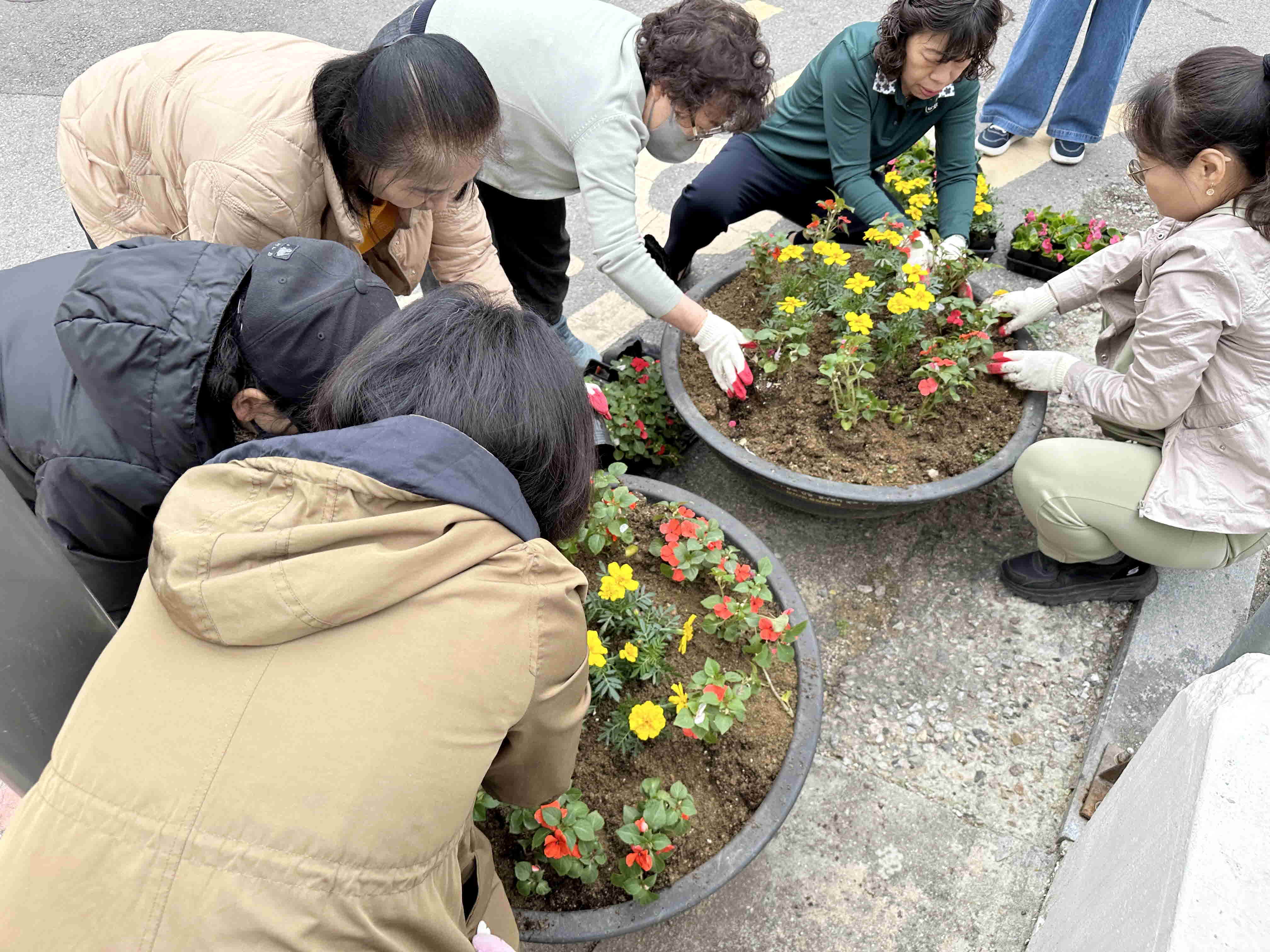 장안구 정자2동, 봄맞이 손바닥정원 정비