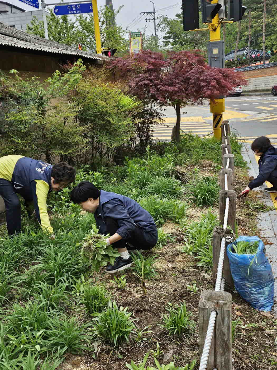 장안구 파장동, 새봄맞이 손바닥정원 정비