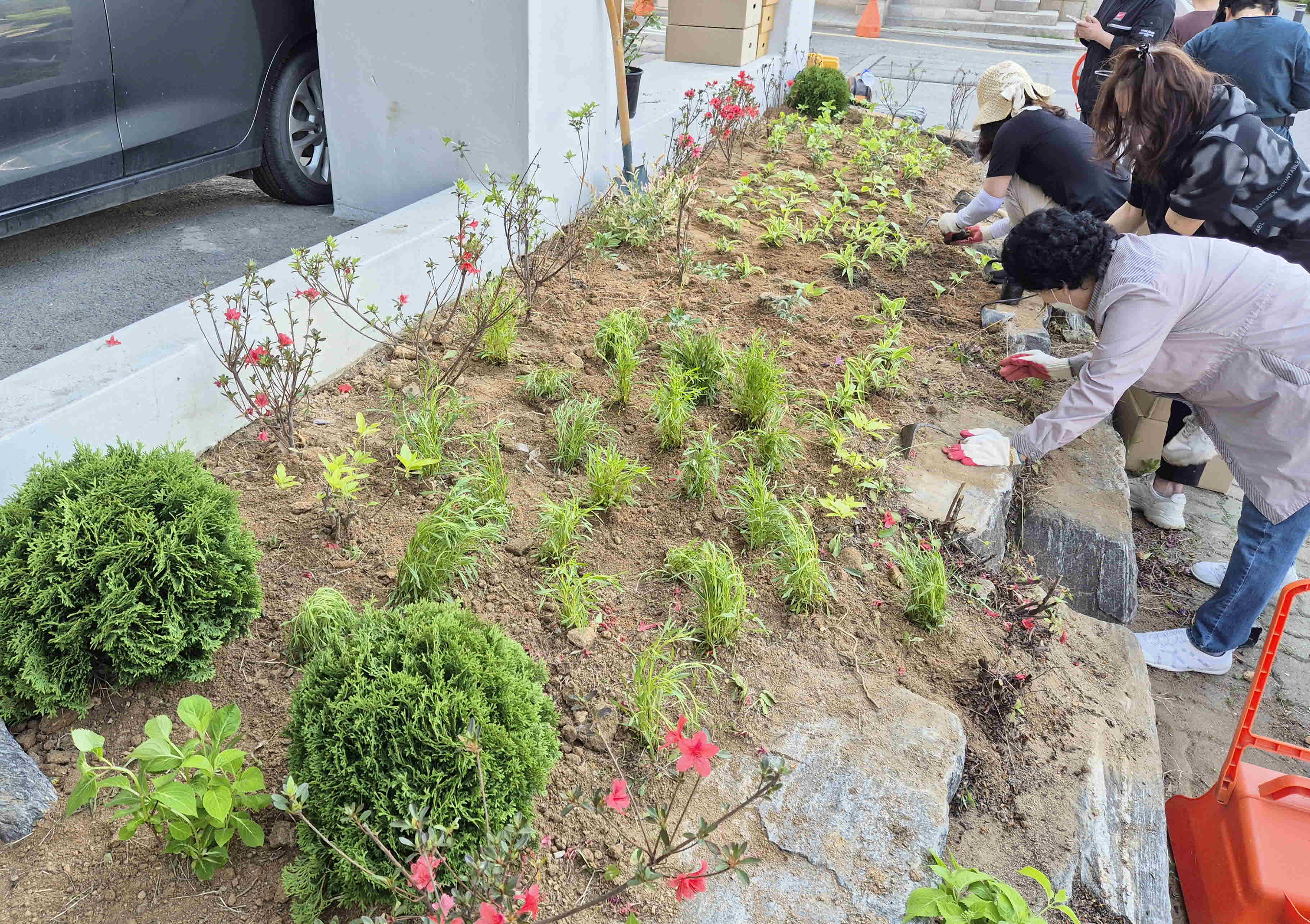 장안구 조원1동, 내 손으로 가꾸는  손바닥정원