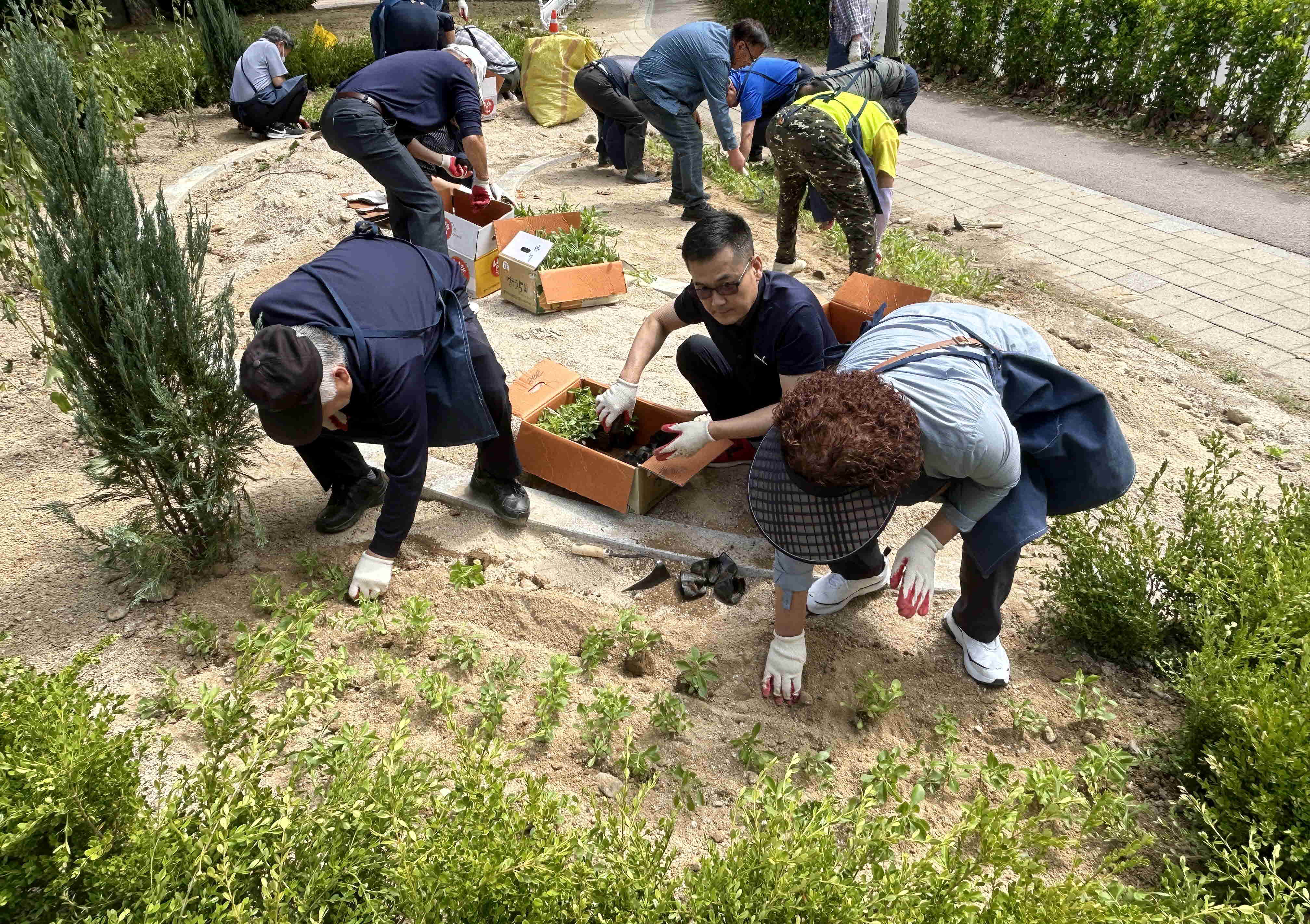 장안구, 한국교통장애인협회와 손바닥정원 조성