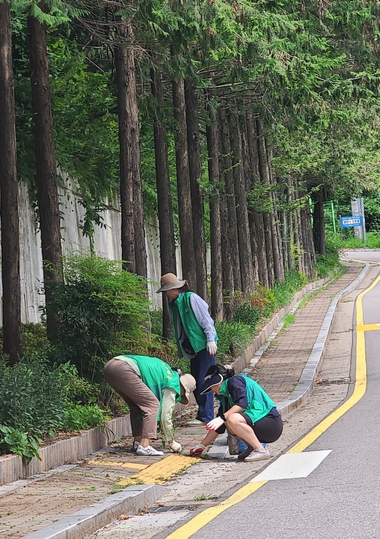 장안구 조원2동,  “미리 대비하면 장마철도 걱정 없어요!”