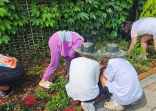 장안구 율천동, 율전 지역아동센터와 함께 가꾸는 우리동네 손바닥정원