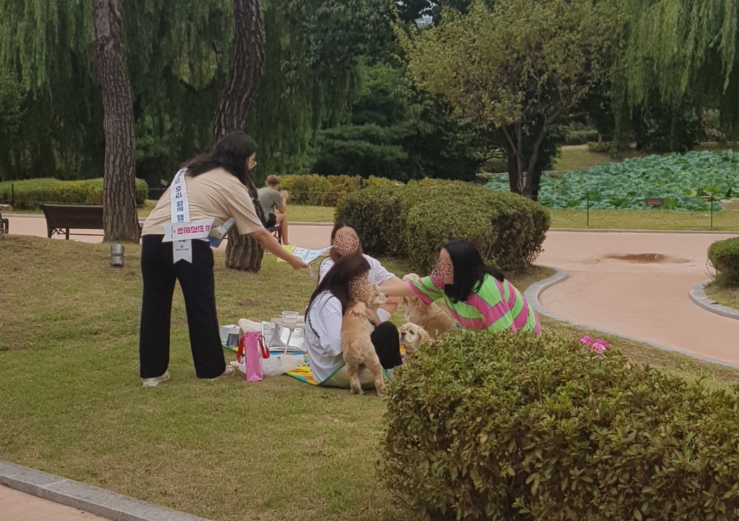 장안구, 동물등록 집중단속 및 펫티켓 홍보 실시