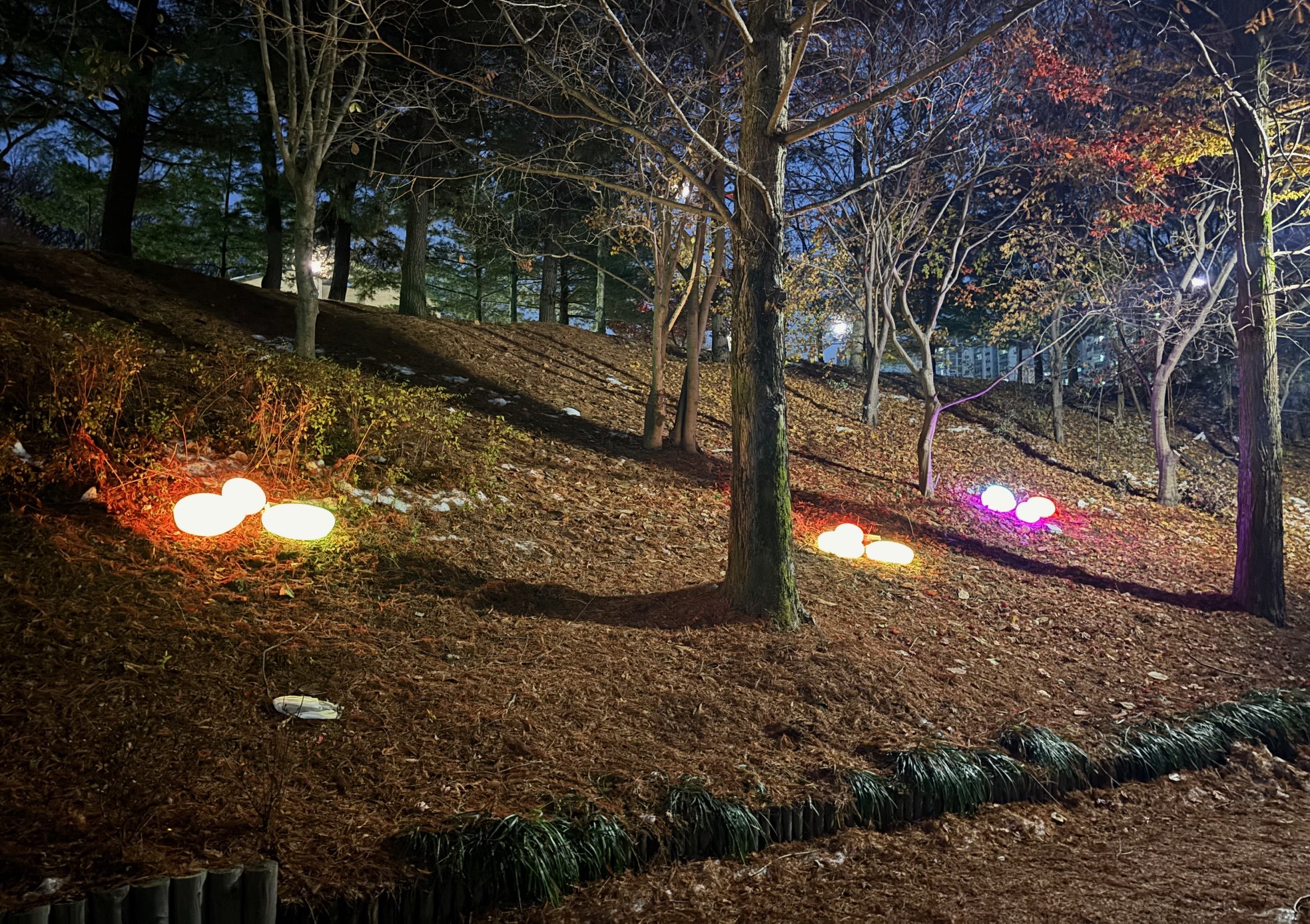 조원천 인두화길, 아름다운 조형등으로 새롭게 탄생!
