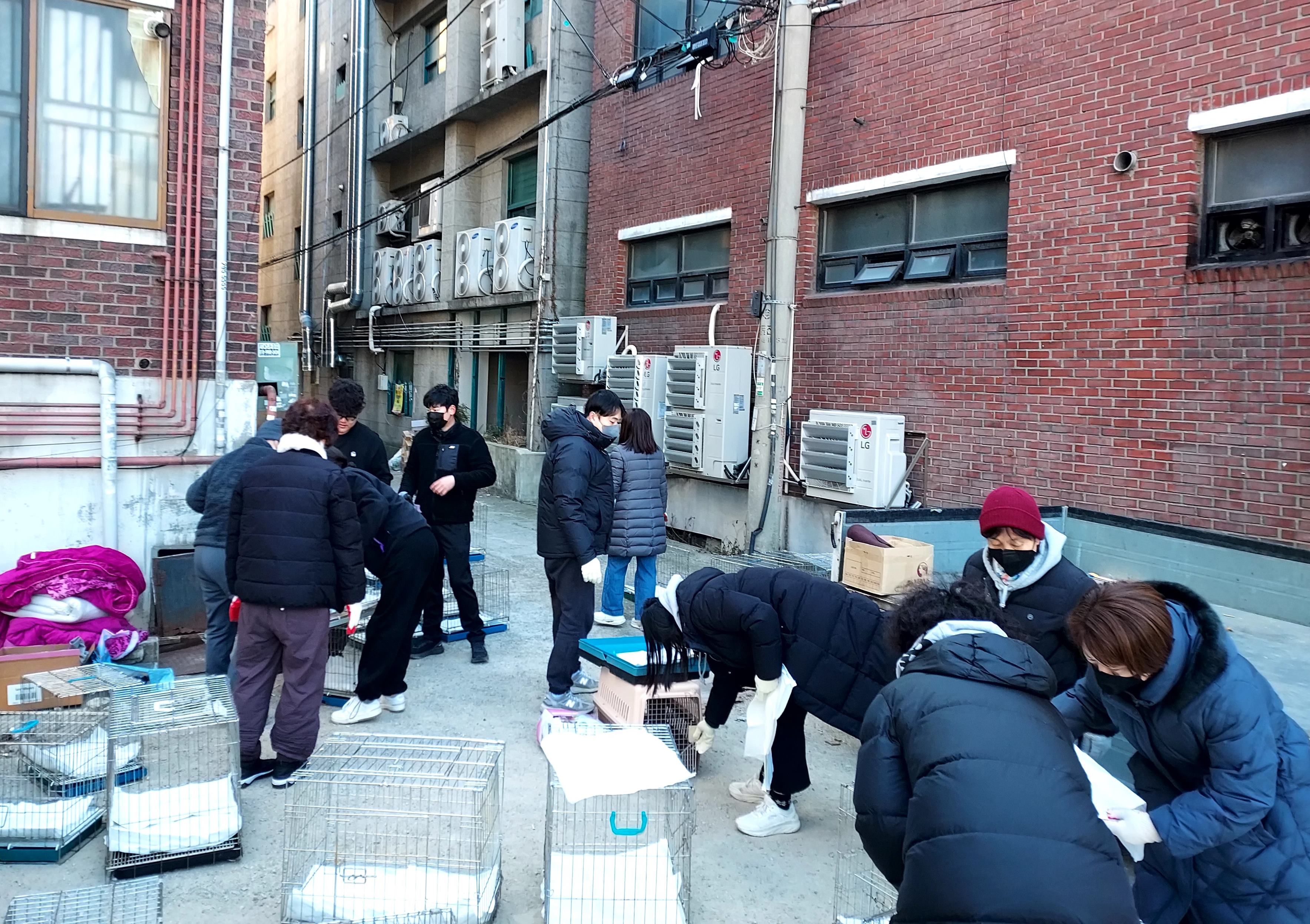 장안구 율천동, “공동주택 내 30마리의 무분별한 고양이 사육으로 인한 민원고충 해결”