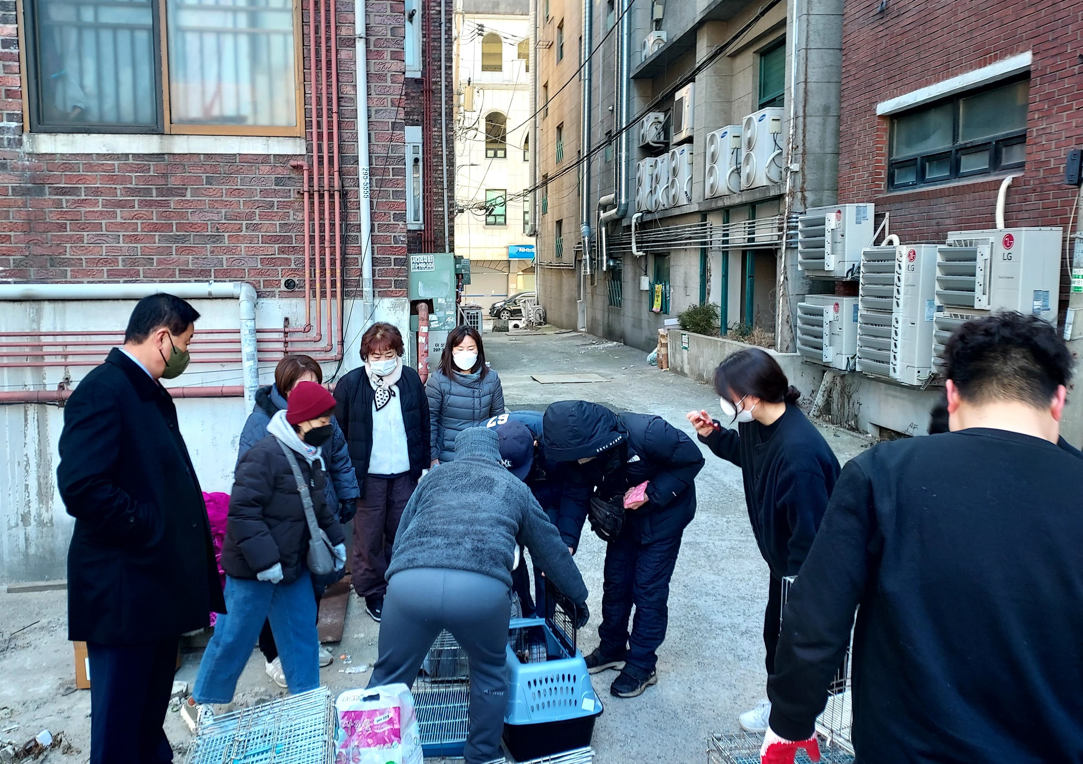 장안구 율천동, “공동주택 내 30마리의 무분별한 고양이 사육으로 인한 민원고충 해결”