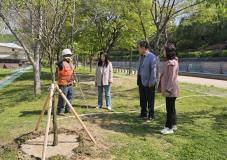수원시 장안구 연무동 주민자치회, 광교공원에 감나무 식재