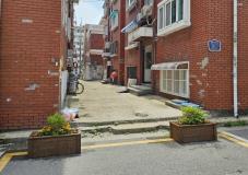 수원시 장안구 송죽동, 무단투기와 불법주차 막는 나무화단 조성