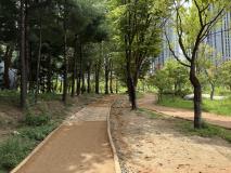 수원시 장안구, 도심 속 맨발 힐링 공간 마련