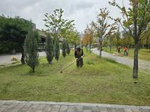 수원시 장안구, 도시공원 조경작업 마무리