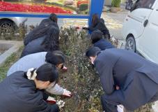 수원시 장안구 연무동,  손바닥정원단과 함께하는 2025년 하반기 정원 조성