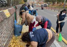 수원시 장안구 송죽동, 주민 안전과 환경 개선 위한 이면도로 낙엽 청소