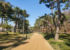 수원시 장안구, 노송공원 내 고보조명과 함께  ‘명품 맨발걷기길’ 조성