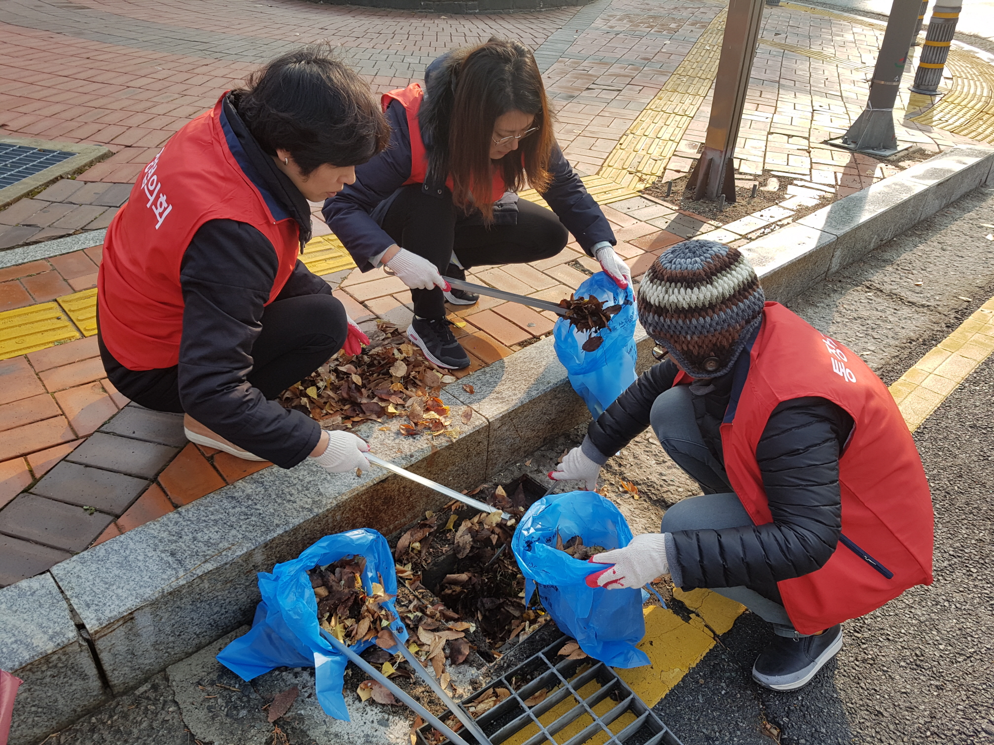 낙엽대청소