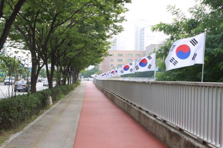 장안구, 나라사랑 태극기 달기 운동 전개