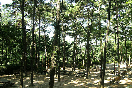광교산 산림욕장 사진