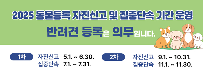 동물등록자진신고