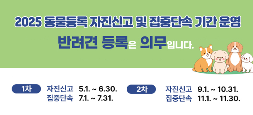 동물등록자진신고