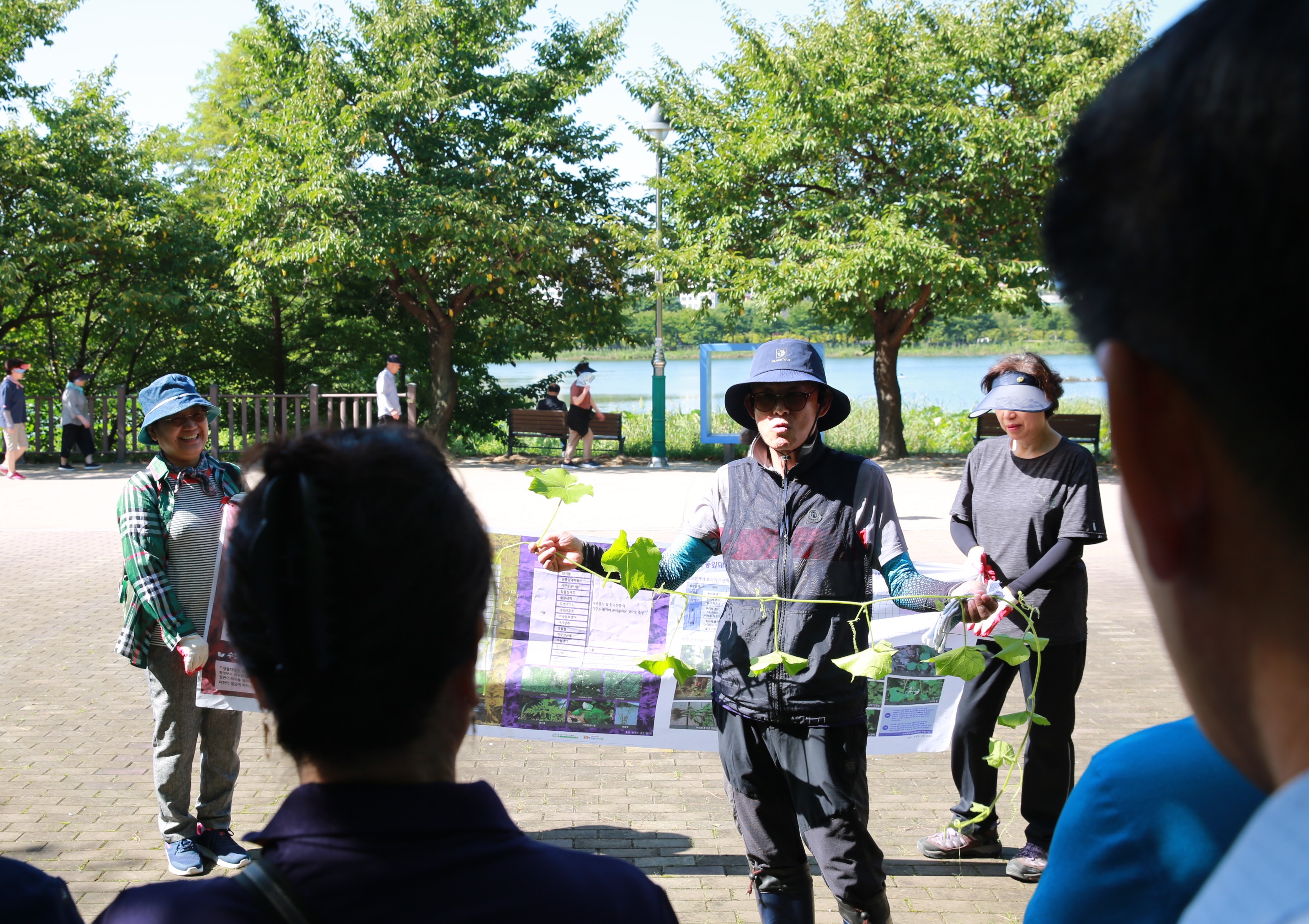 만석공원 생태 교란 식물 제거11번 사진