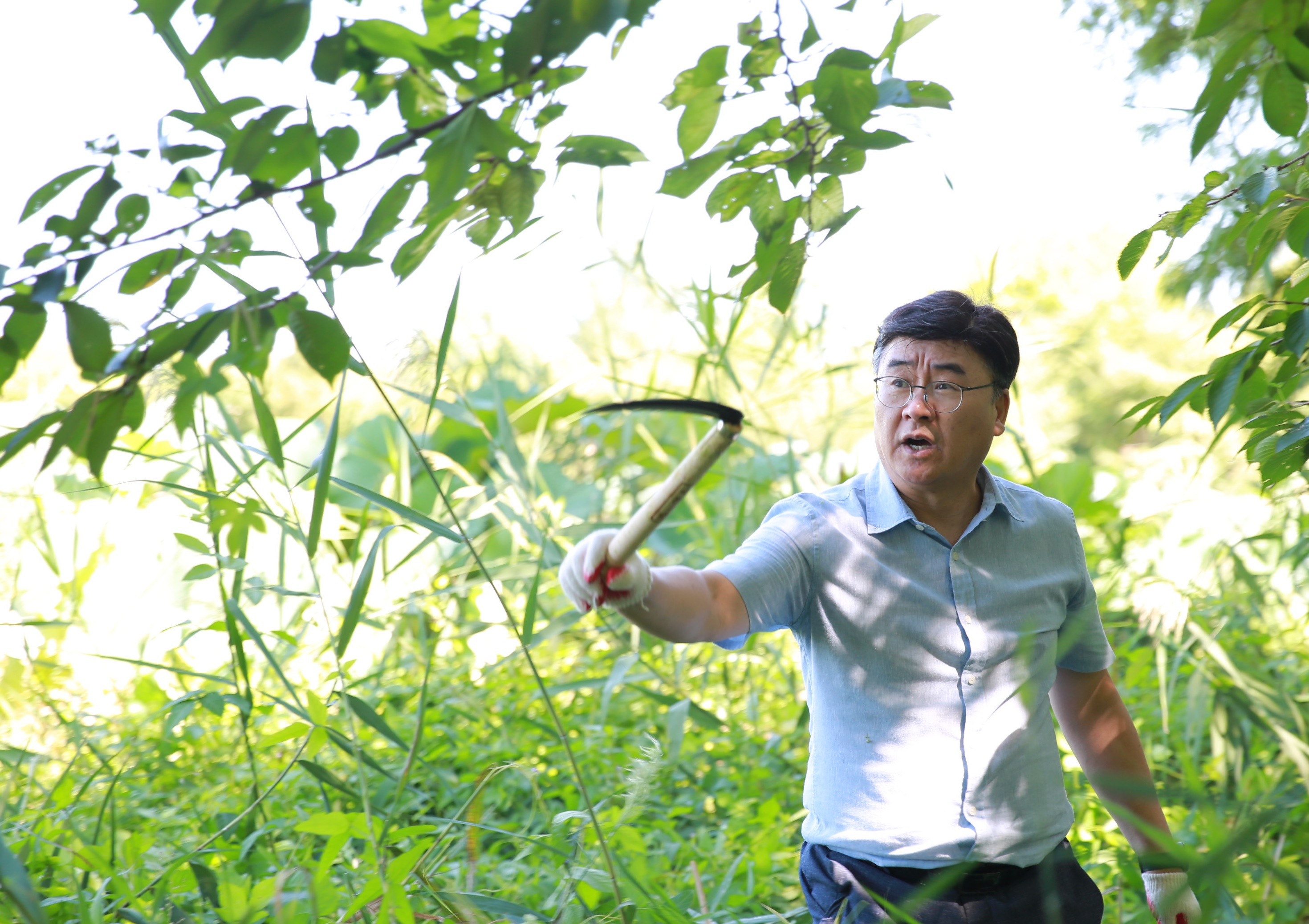 만석공원 생태 교란 식물 제거29번 사진