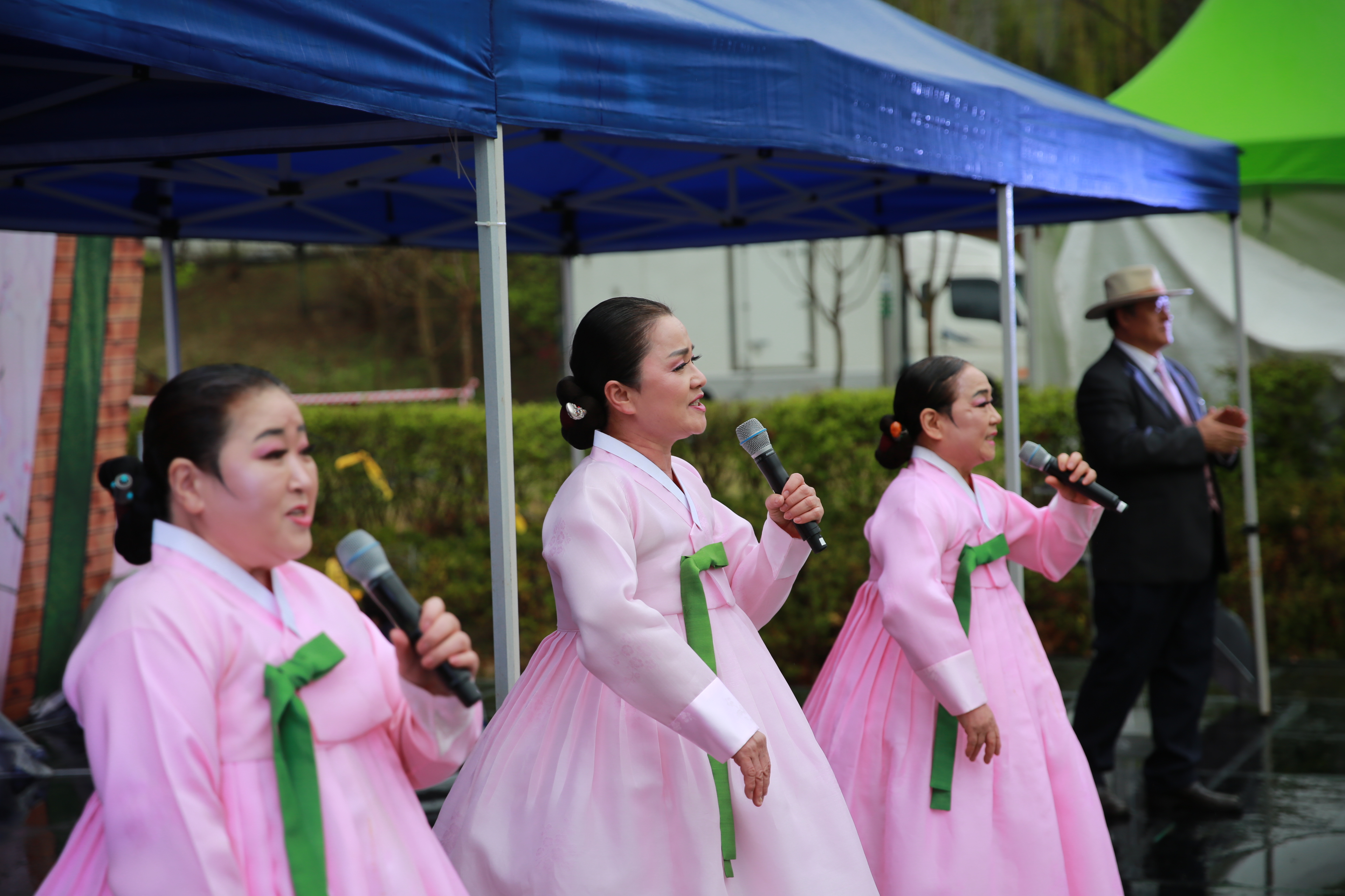 광교산마루길 벚꽃축제(2일차)20번 사진