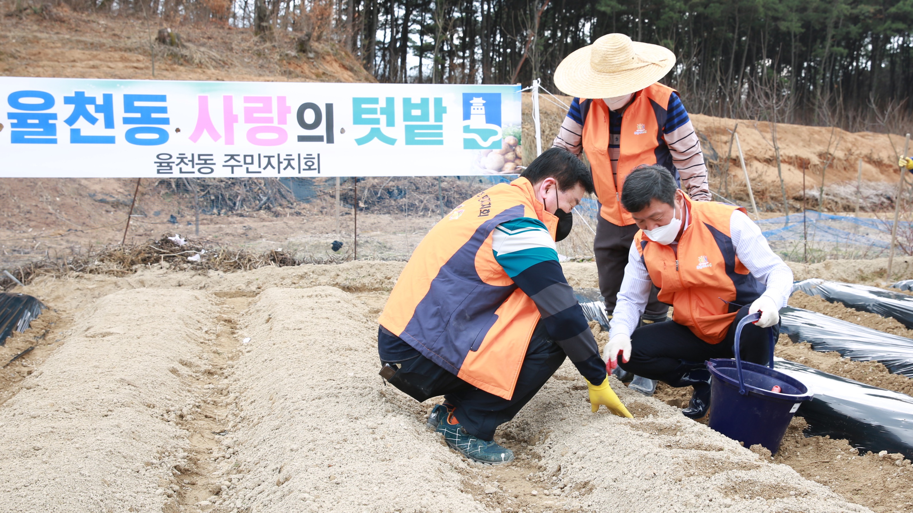 사랑의 텃밭(율천동)1번 사진