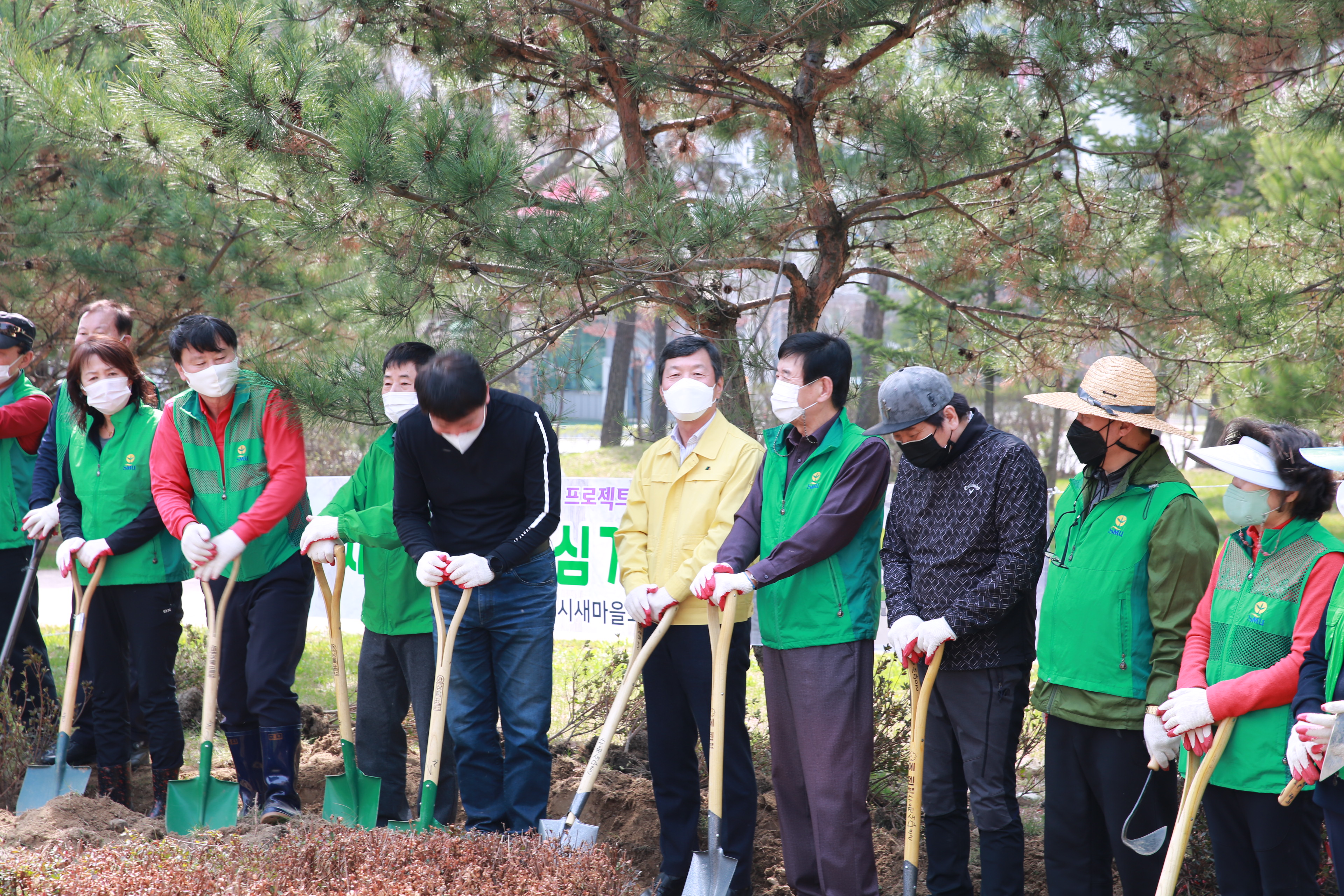 새마을 나무심기 운동11번 사진