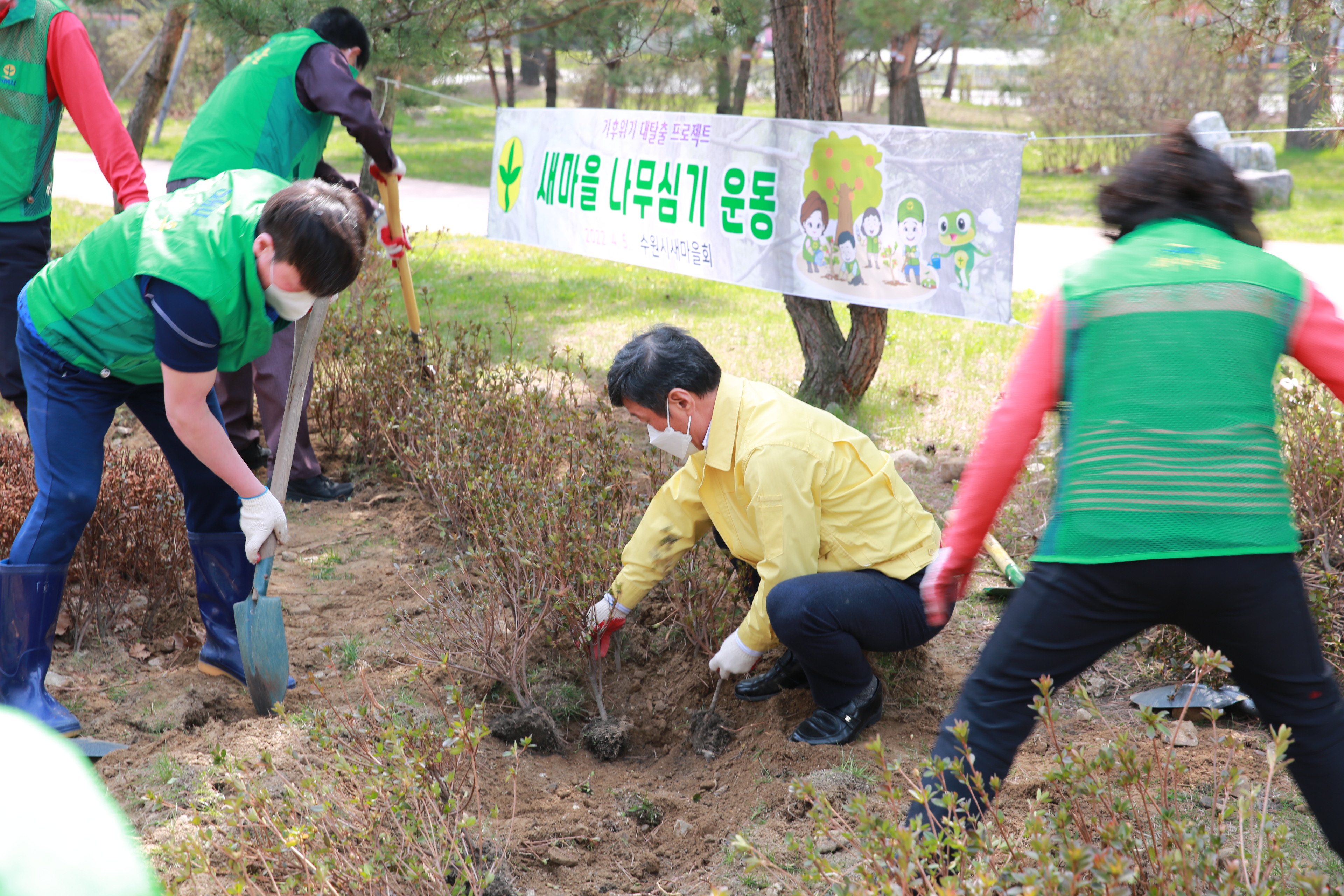 새마을 나무심기 운동21번 사진