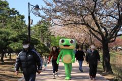 2023 만석거 벚꽃축제(2일차)72번 사진