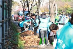 장안구 간부공무원 낙엽쓸기30번 사진