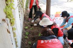 조원2동 산책길 손바닥정원 조성9번 사진