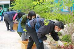 손바닥 정원 조성(장안구 보건소)12번 사진