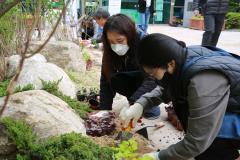 손바닥 정원 조성(장안구 보건소)15번 사진