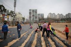 마을정원 텃밭 가꾸기 식재행사7번 사진