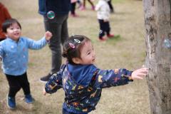 광교산마루길 벚꽃축제 (1일차)16번 사진