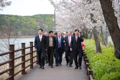 광교산마루길 벚꽃축제 (1일차)71번 사진