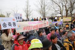 광교산마루길 벚꽃축제 (1일차)32번 사진