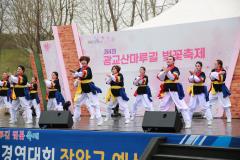 광교산마루길 벚꽃축제 (1일차)35번 사진