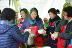 광교산마루길 벚꽃축제(2일차)8번 사진