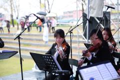 광교산마루길 벚꽃축제(2일차)12번 사진